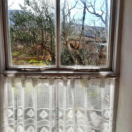 381 Glassillaun *